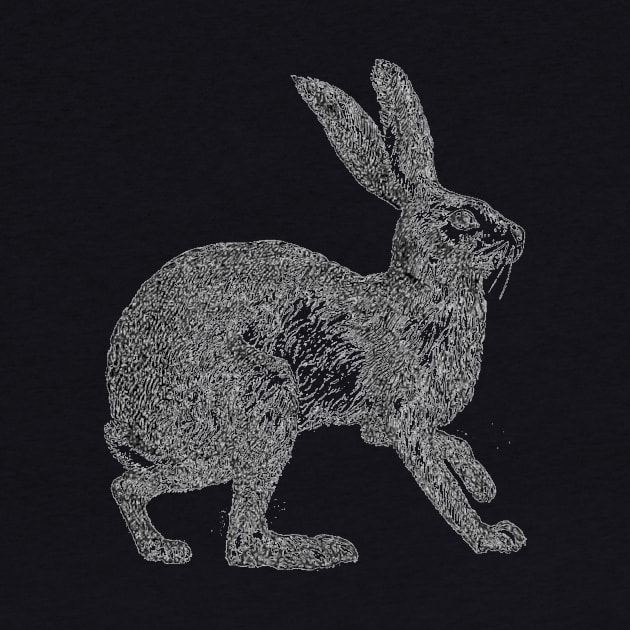 Vintage Hare by Shepherd